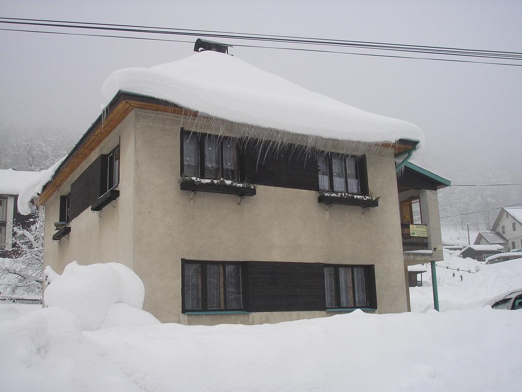 Apartment Arnika Kořenov Værelse billede